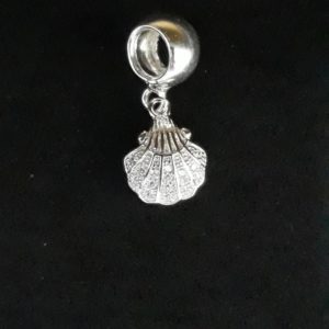 CHARM VIEIRA CIRCONITA AG