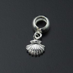CHARM VIEIRA AG