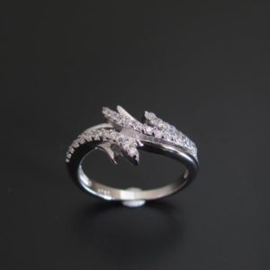 ANILLO CIRCONITAS AG