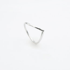 ANILLO EN V AG