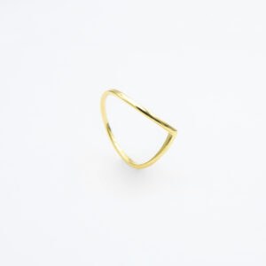 ANILLO EN V CON B.O.A AG