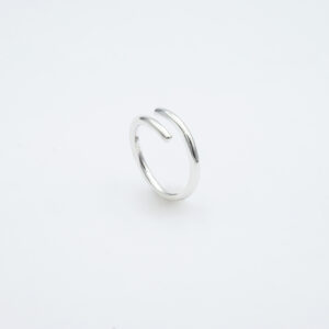 ANILLO DOBLE AG