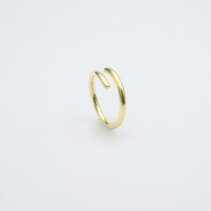 ANILLO DOBLE B.O.A.AG