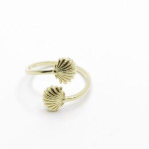 ANILLO 2 VIEIRAS B.O.A AG