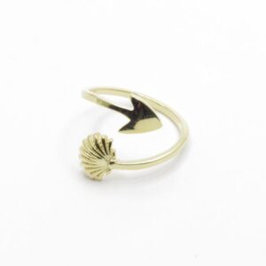 ANILLO VIEIRA Y FLECHA B.O.A: AG