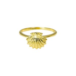 ANILLO VIEIRA AG