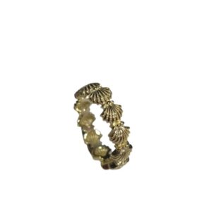 ANILLO VIEIRA 5MM B.O.A AG