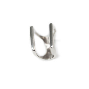 ANILLO DOBLE AG