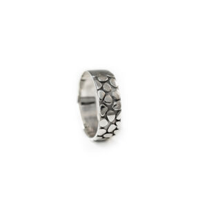ANILLO LUNARES AG